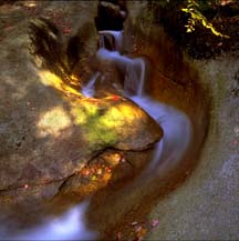 Stream, in Franconia Notch, New Hampshire